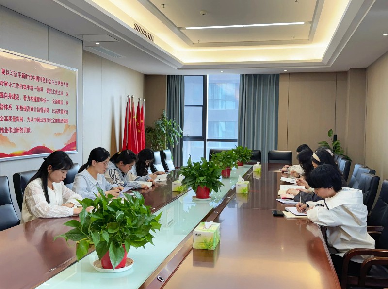 1.市審計(jì)局組織年輕干部.jpg